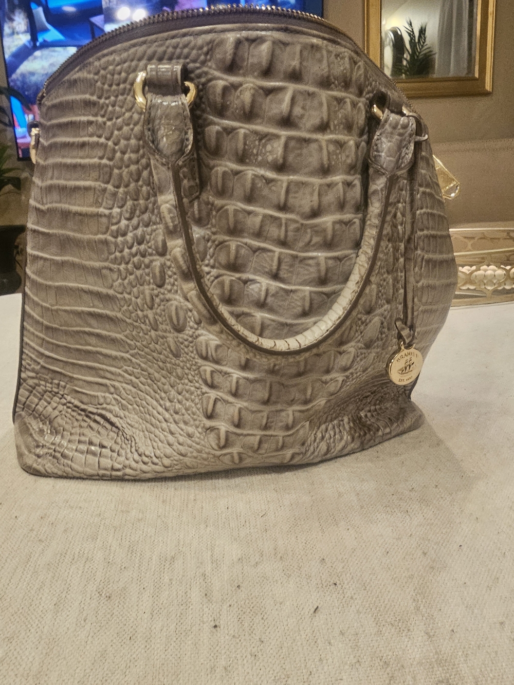 BRAHMIN Croc-Embossed Tote Bag in Taupe/GREY